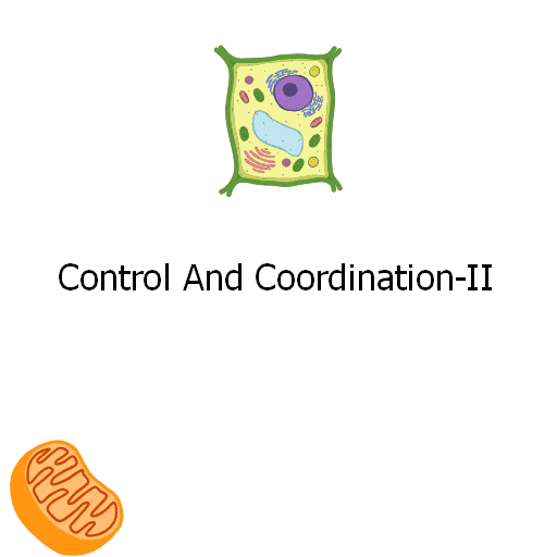 Control And Coordination-II